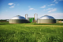 page-258-172 Desulfurization in biogas production